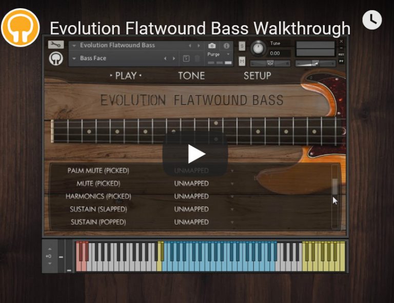 Orange Tree Samples Evolution Flatwound Bass复古电贝司 康泰克音色 Windows/MacOS-音浪网-音乐制作系统办公资源