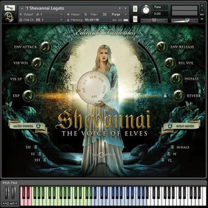 精灵物语 Best Service Shevannai the Voices of Elves 康泰克音色 Win/MacOS-音浪网-音乐制作系统办公资源