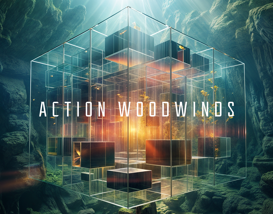 全新影视木管乐句音源 Native Instruments Action Woodwinds v1.0.0 KONTAKT-音浪网-音乐制作系统办公资源