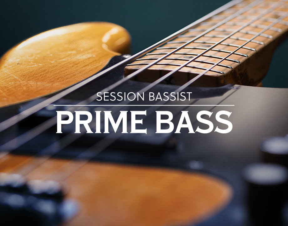 芬达电贝斯节奏音色库 Native Instruments Session Bassist Prime Bass v1.0.1 KONTAKT-音浪网-音乐制作系统办公资源