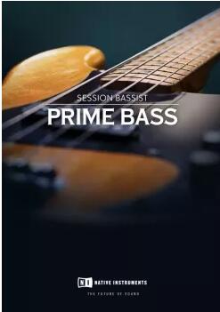 Native Instruments Session Bassist Prime Bass v1.0.2 KONTAKT-音浪网-音乐制作系统办公资源